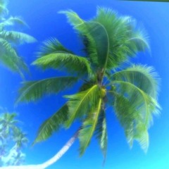 grotesq - island🏝️luvv💕spell🧪 *selda*