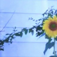 Sadboynate -Let You Down In The End
