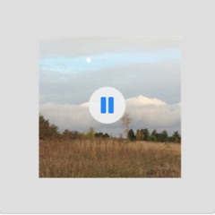 Ma Beauté Béluga