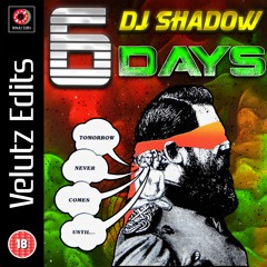 𝐅𝐑𝐄𝐄 𝐃𝐋 🈚 DJ Shadow - Six Days (Velutz Edit)