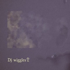 Dj wiggles | AB23 | Stone Circle
