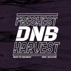 Freshest DnB Harvest (02) - April Selection