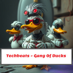 Techbeats - Gang Of Ducks