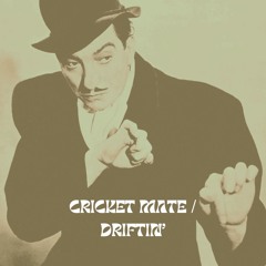 Cricket Mate - Driftin'