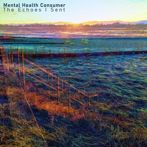 Mental Health Consumer - Twelve Stringed Thing