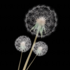 Dandelions (slowed)- Ruth B. (cover by San<3)