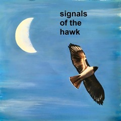 written to music - desert animals signals of the hawk - mo - solo guitar from paul fritz