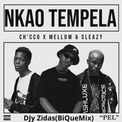 Nkao Tempela (Djy Zidas BiqueMix Edit)