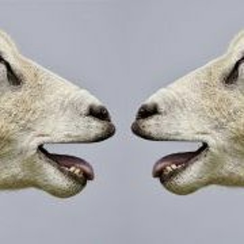 Testosterone Impacts Behavior Based On Social Context—An Animal Study