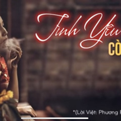 Đừng hỏi vì sao tôi nhớ người . Phương Phương Thảo remake . Jimmii Nguyễn cover remix