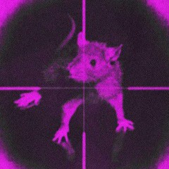 Kodak Black  Killing The Rats (slowed+reverb)