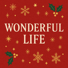 Wonderful LIfe - Radio Version