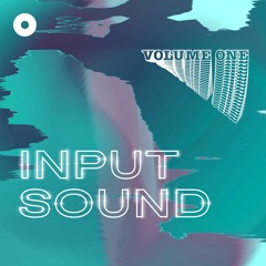 Input Sound Vol 1