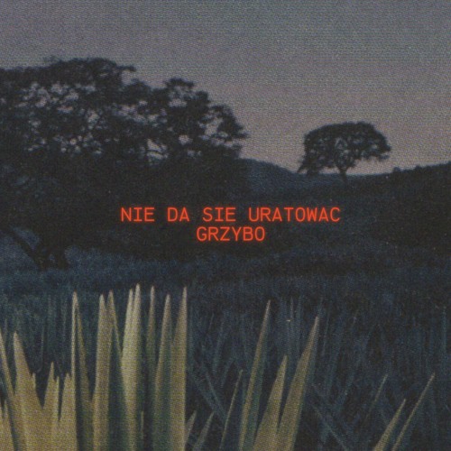 GRZYBO - NIE DA SIE URATOWAC (PROD. LXST GHXUL)