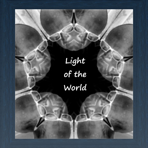 Light Of The World
