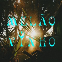MELÃO VINHO III - Tomorrowland Submission