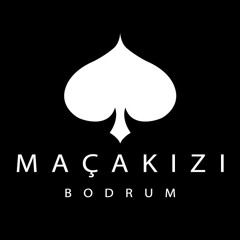 Maçakızı In the Night 2024 Vol.2