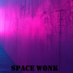 Space wonk