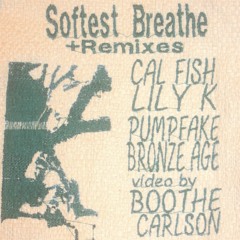 Softest Breathe Pumpfake Mix