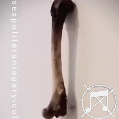 sexpolitereniaparyicul