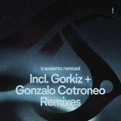 Premiere: Luciano Scheffer - Sleeping Gods (Gorkiz Remix)
