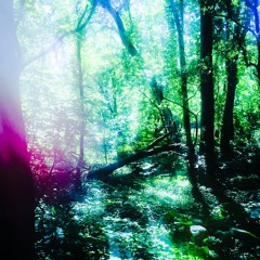 ARCADIAN