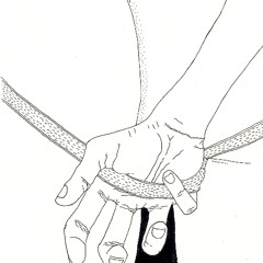 Babys on a Horsi Ride