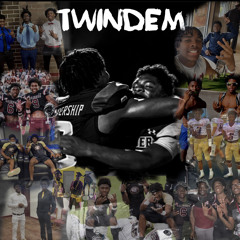 Twindem