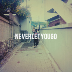 neverletyougo - ROLE MODEL (cover)