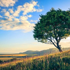 Adara piano background music 💘FREE DOWNLOAD