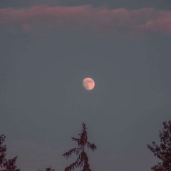 Still Burning Interlude