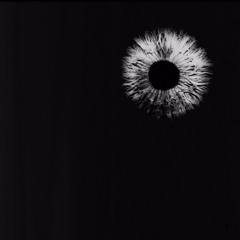 HEVNER - Echo Modulated (Anesthetic station)