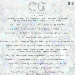 That Disco Groove 016