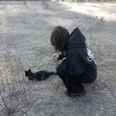 im my dreams, you love me back