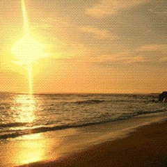 Road To Beach Paradise