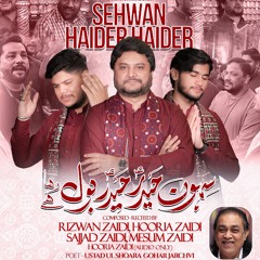 Sehwan Haider Haider (a.s) Bol Raha Hai  --  Rizwan Zaidi & Others  --  Dhamal  --  2025