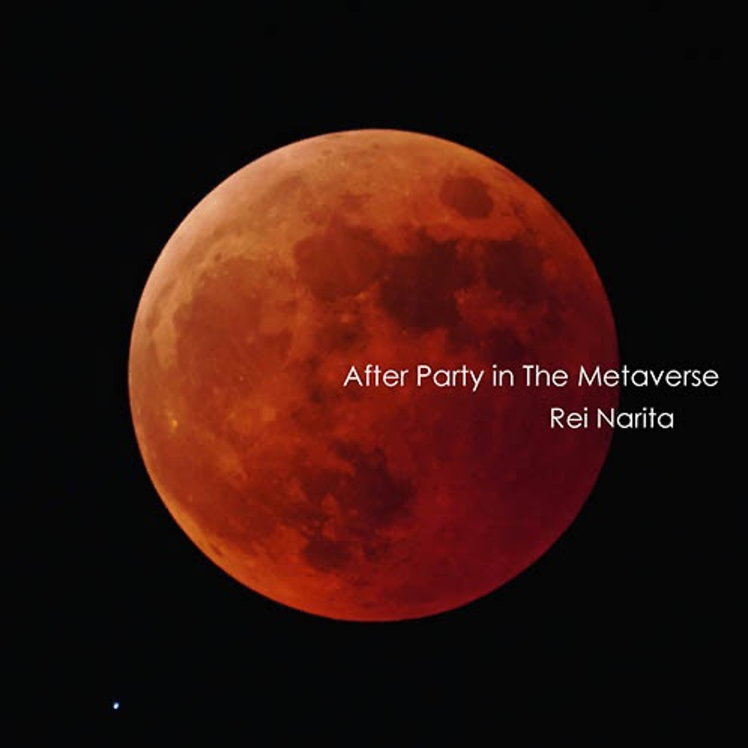Rei Narita : After Party In The Metaverse episode artwork