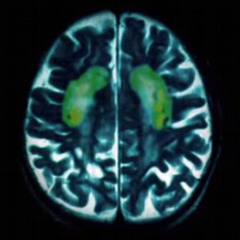 AUSTRONESIAN (INSTRUMENTAL TAPE)