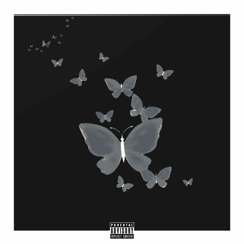 BuTTerflies (Prod.Lil Fari)