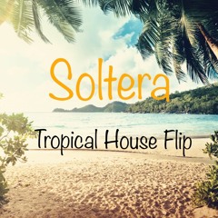 Soltera Remix- Lunay, Bad Bunny, Daddy Yankee (Karlo Ren Tropical House Flip)