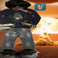 стример из винитсы