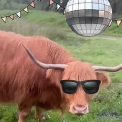 OMG IK BEN IN EEN BOS EN ER IS EEN BIZON REMIX