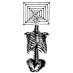 Crossbone Asylum