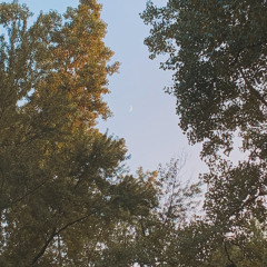 ‎⁨قالولي كن - فيروز- cover - ندى⁩.mp3