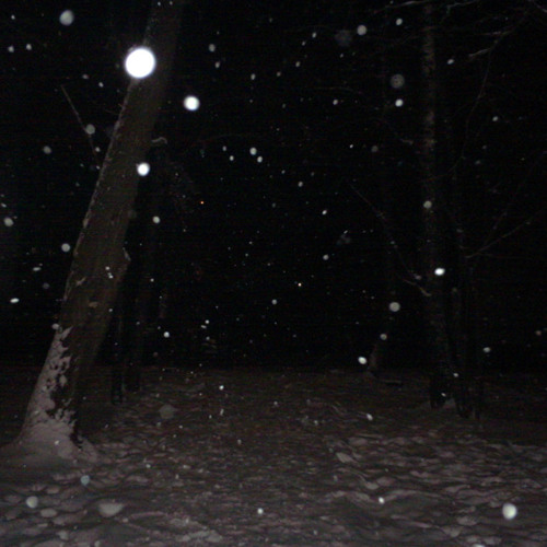 snow globe prod @31.mat