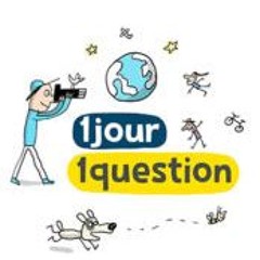 1 jour 1 question (maquette. pastille pédagogique)