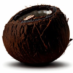 2023-09-21 - noix de coco