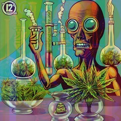 JUST THE WAY IT IS w/ACIDACA