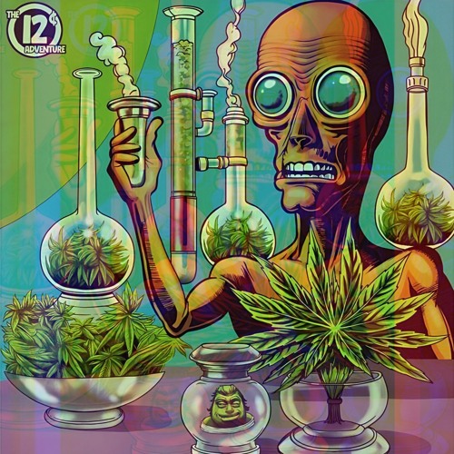 JUST THE WAY IT IS w/ACIDACA