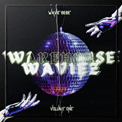 WAVIEZ WAREHOUSE 001